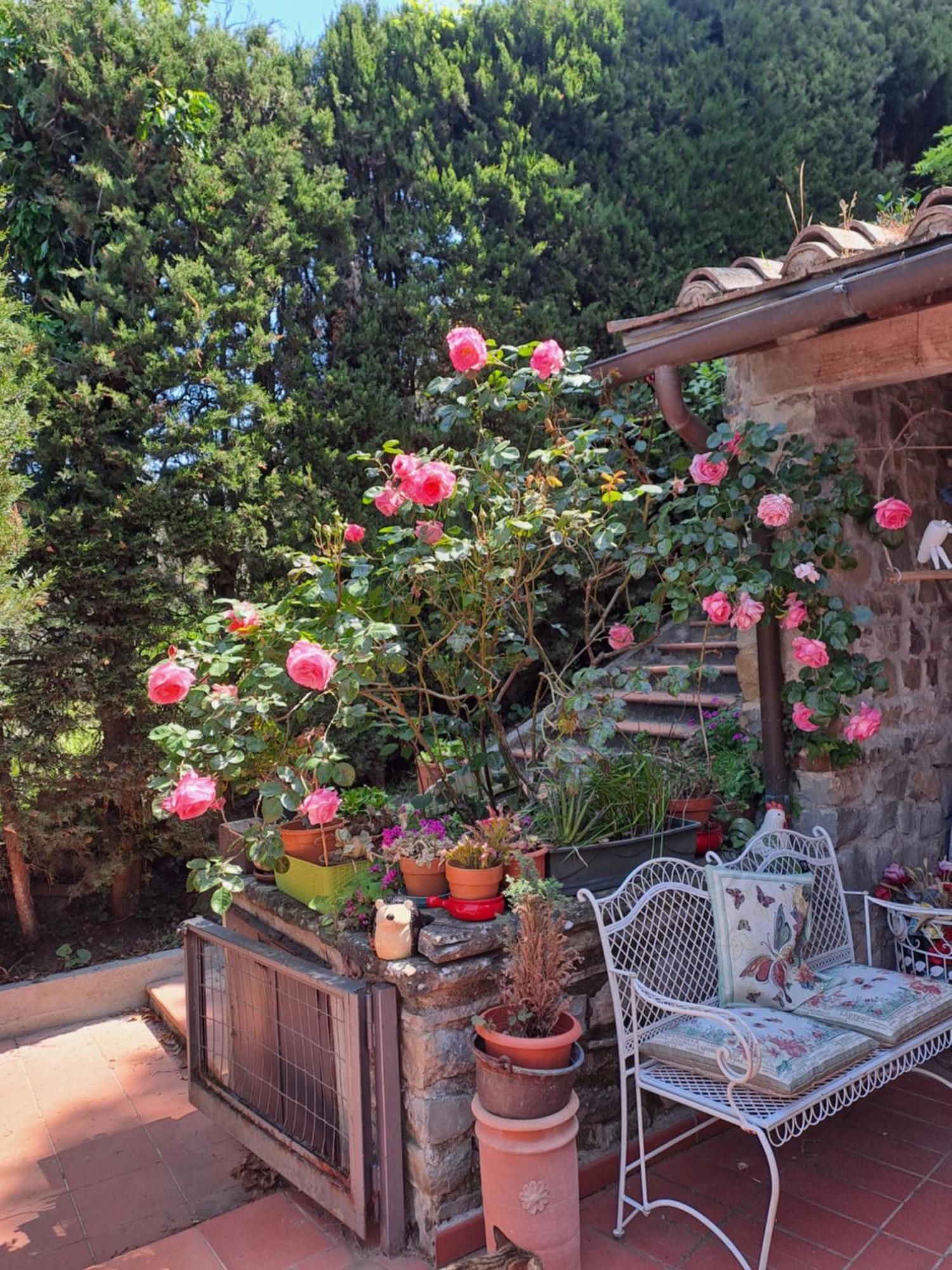 B&B La Dimora di Alida Fiesole Esterno foto
